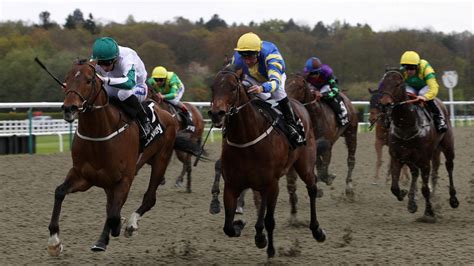 Lingfield Tips, Racecards And Results Today .